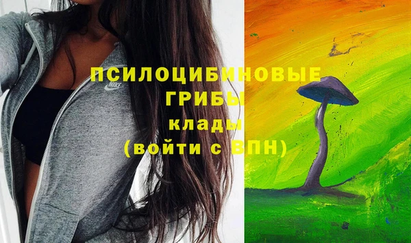 стаф Михайлов