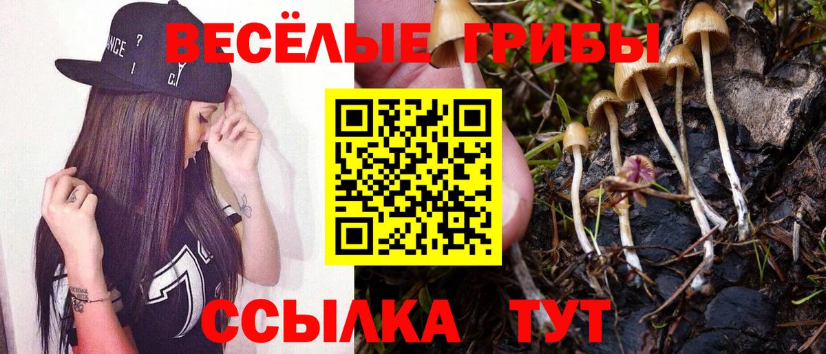 Галлюциногенные грибы GOLDEN TEACHER Казань